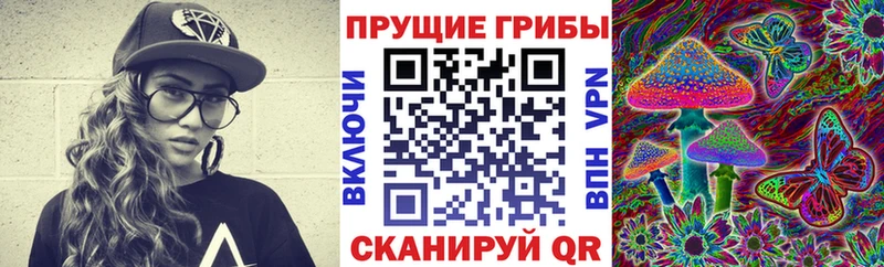 купить наркоту  Строитель  Псилоцибиновые грибы мицелий 